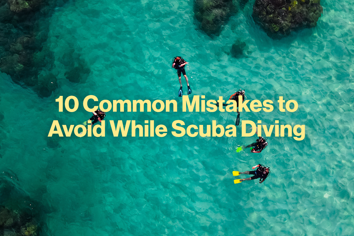 10 Common Mistakes to Avoid While Scuba Diving