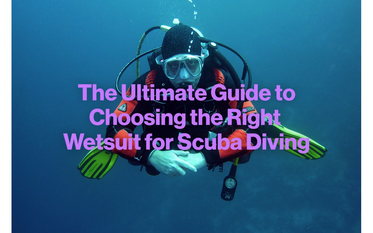 The Ultimate Guide to Choosing the Right Wetsuit for Scuba Diving