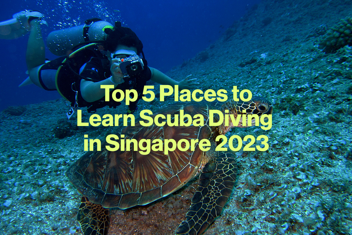 Top 5 Places to Learn Scuba Diving in Singapore 2023