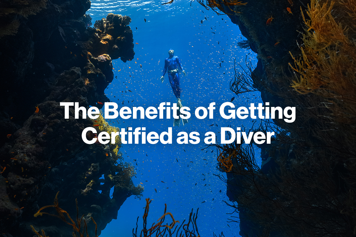 The Benefits of Getting Certified as a Scuba Diver