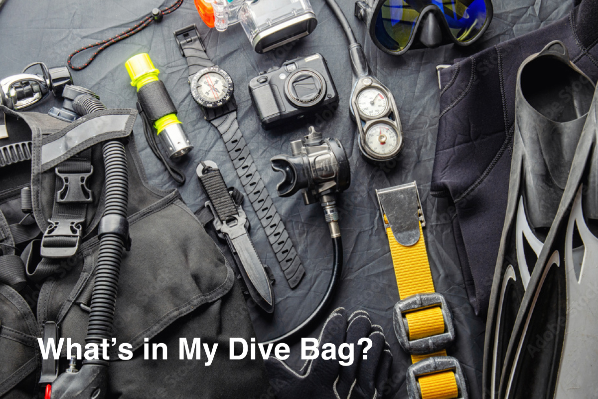 What’s in My Dive Bag?