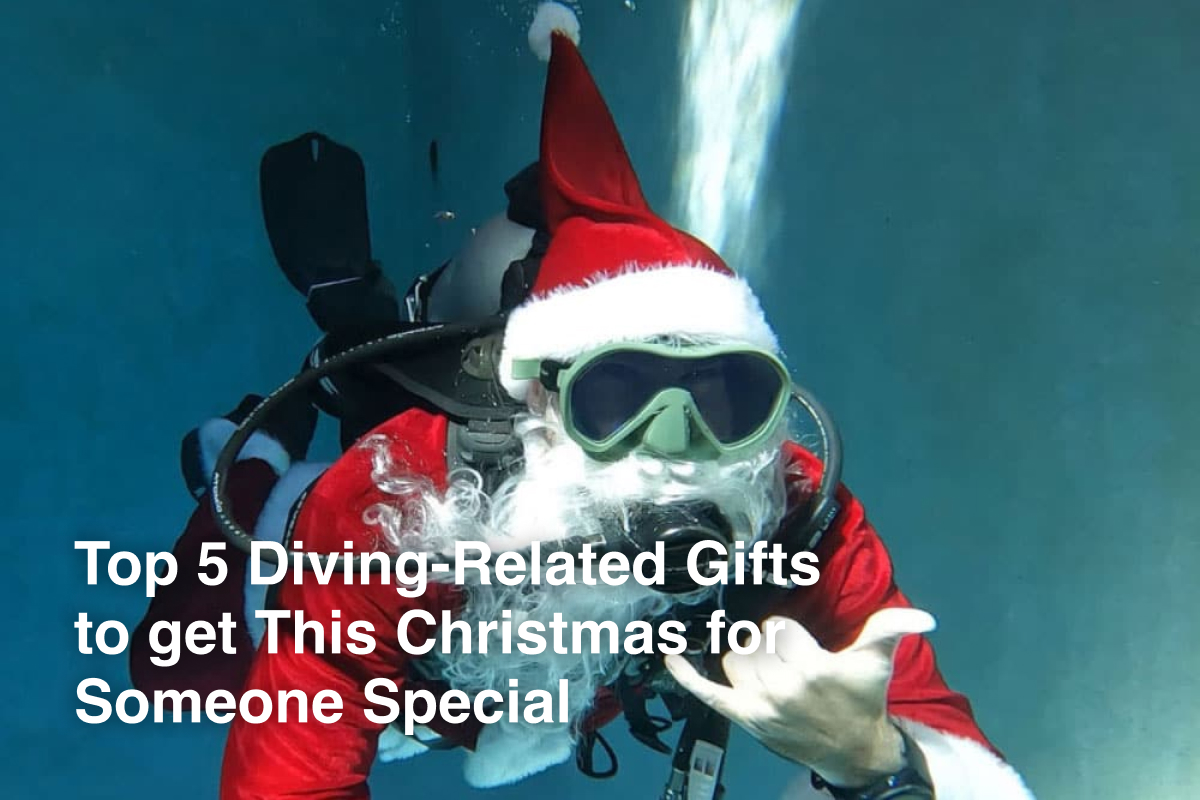 Top 5 Diving-Related Gifts to get This Christmas for Someone Special Top 5 Diving-Related Gifts to get This Christmas for Someone Special