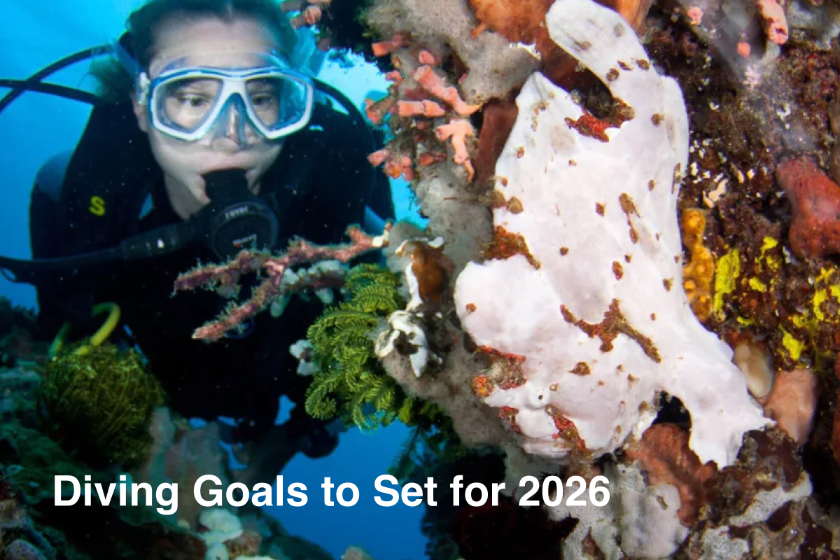 Diving Goals to Set for 2026 Diving Goals to Set for 2026