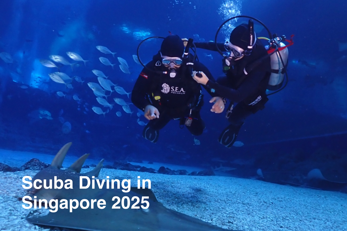 Scuba Diving in Singapore 2025