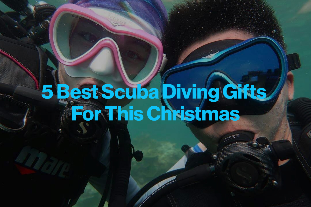 What Are The Best Scuba Diving Gifts to Buy This Christmas?
