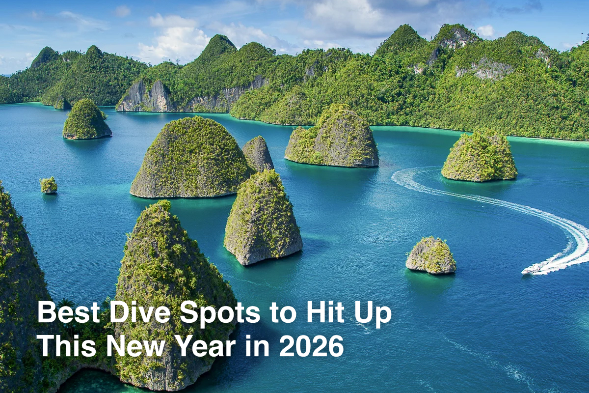 Best Dive Spots to Hit Up This New Year in 2026 Best Dive Spots to Hit Up This New Year in 2026