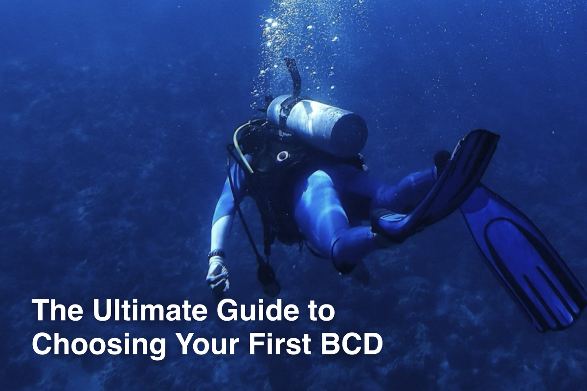 The Ultimate Guide to Choosing Your First BCD