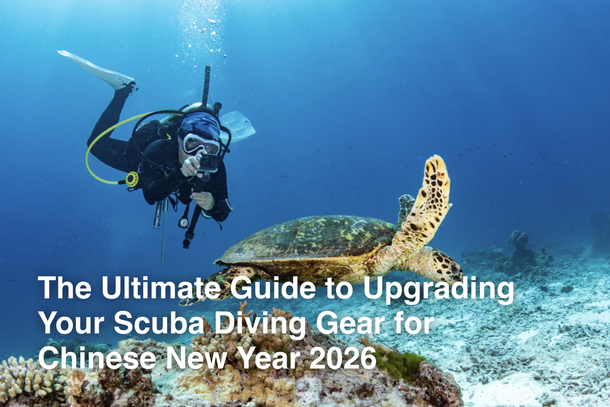 The Ultimate Guide to Upgrading Your Scuba Diving Gear for Chinese New Year 2026 The Ultimate Guide to Upgrading Your Scuba Diving Gear for Chinese New Year 2026
