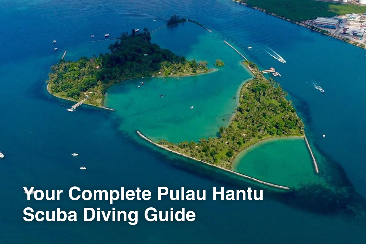 Your Complete Pulau Hantu Scuba Diving Guide