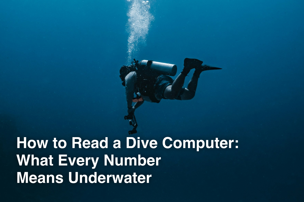 How To Read A Dive Computer: What Every Number Means Underwater