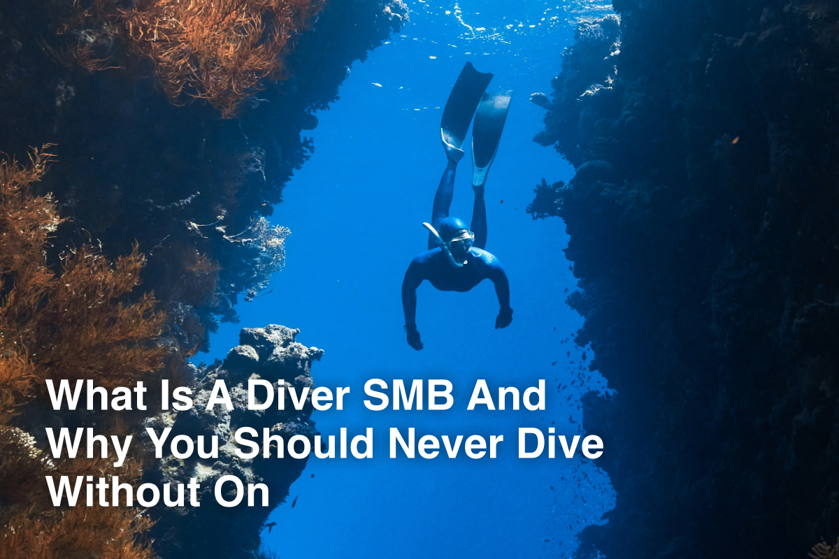What Is A Diver SMB And Why You Should Never Dive Without On