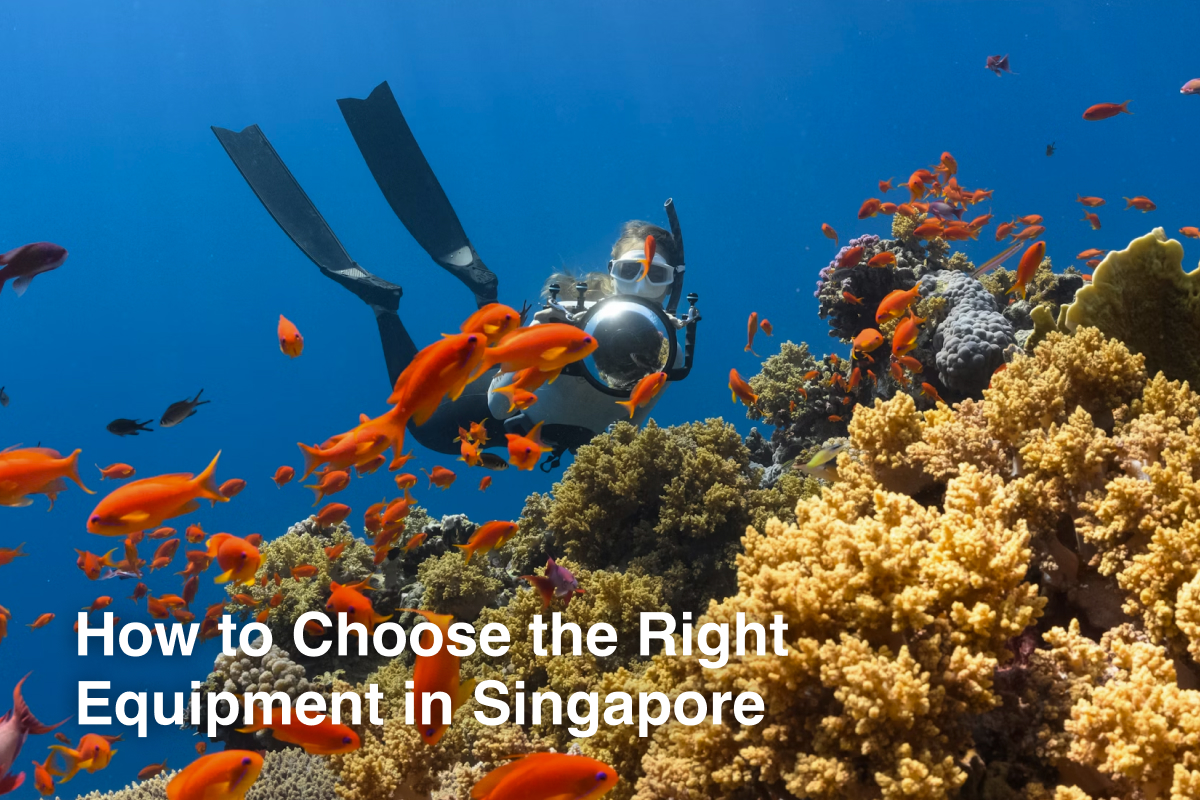 Beginner's Guide to Scuba Diving Gear: How to Choose the Right Equipment in Singapore