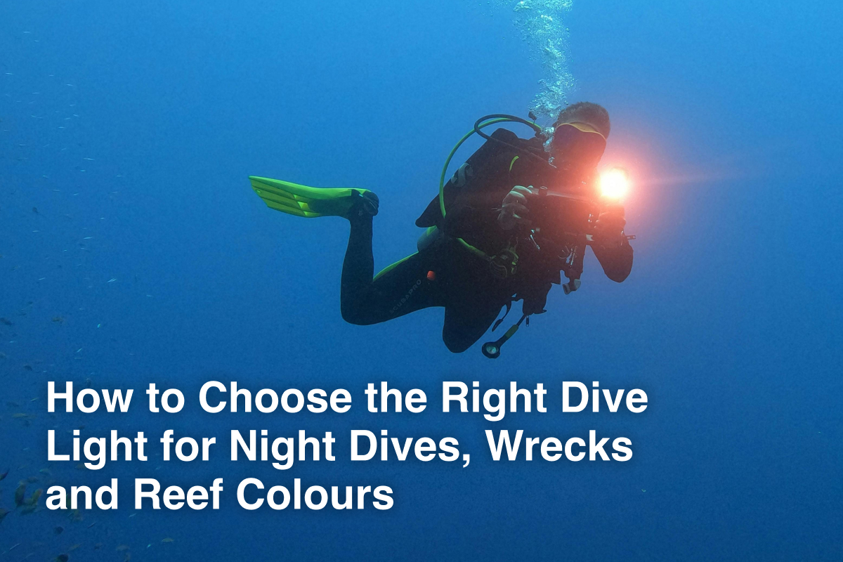 How to Choose the Right Dive Torch for Night Dives, Wrecks and Reef Colours