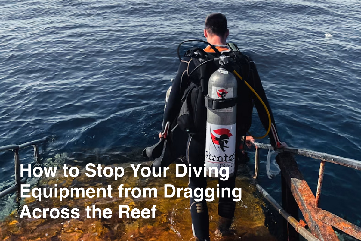 How to Stop Your Diving Equipment from Dragging Across the Reef How to Stop Your Diving Equipment from Dragging Across the Reef