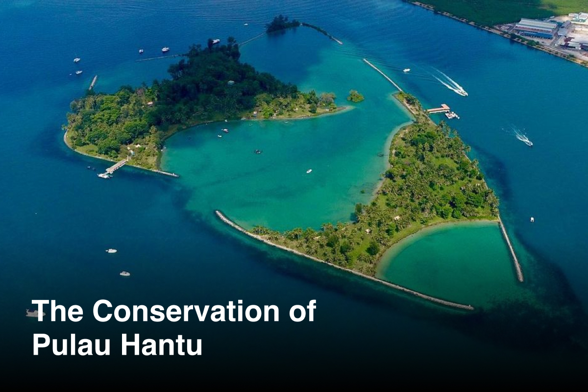 The Conservation of Pulau Hantu