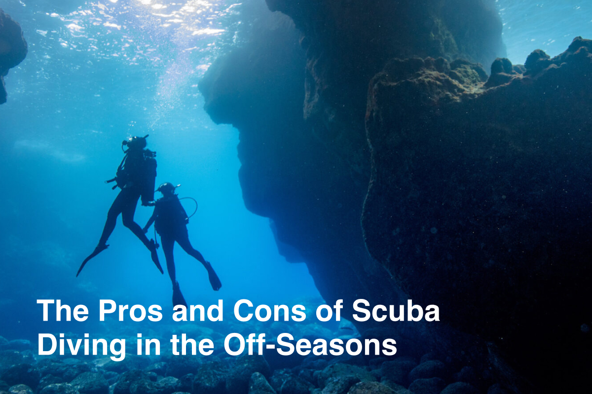 The Pros and Cons of Scuba Diving in the Off-Seasons