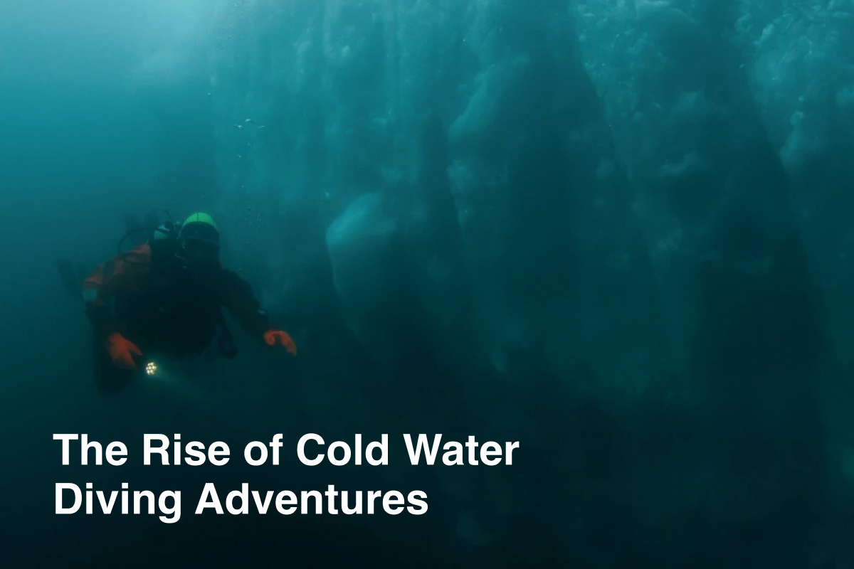 The Rise of Cold Water Diving Adventures