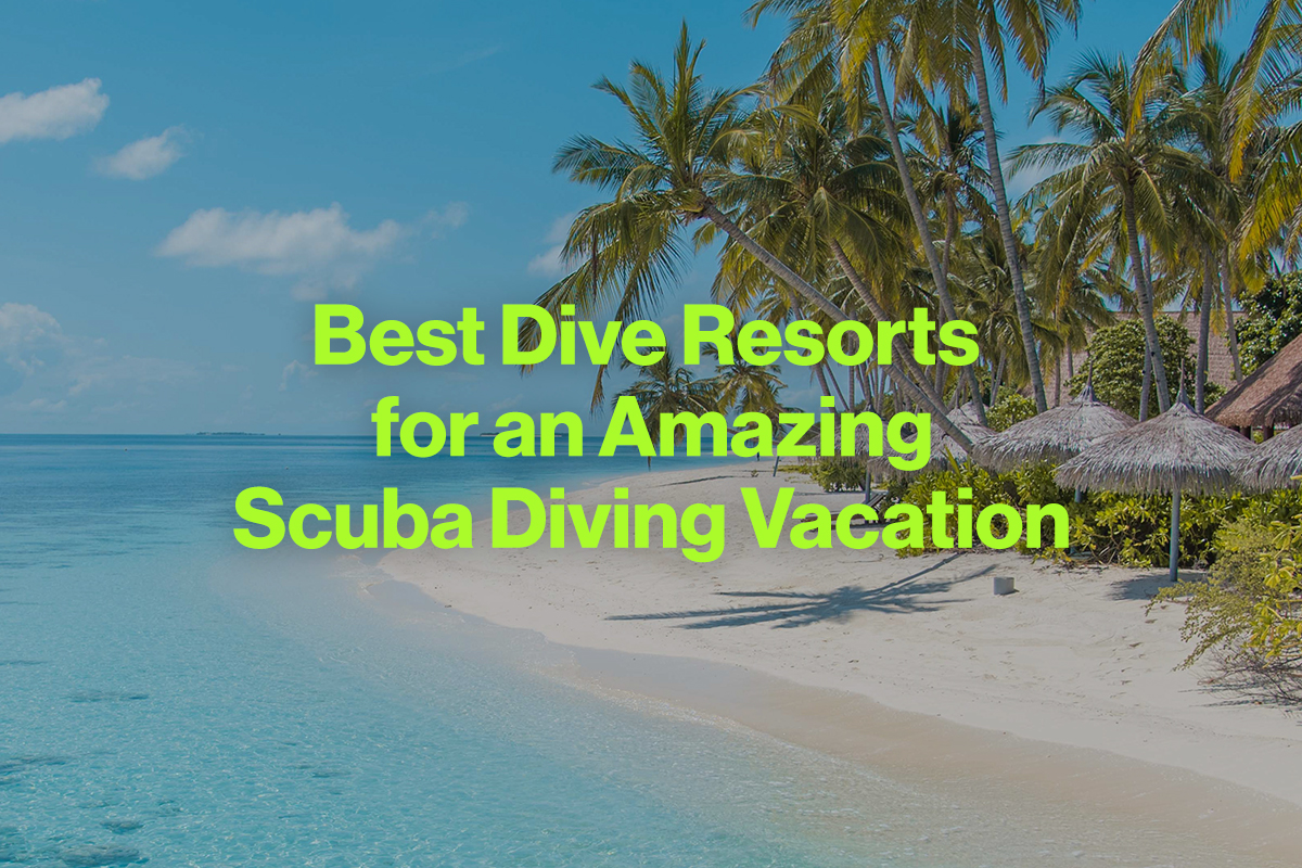 Best Dive Resorts for an Amazing Scuba Diving Vacation