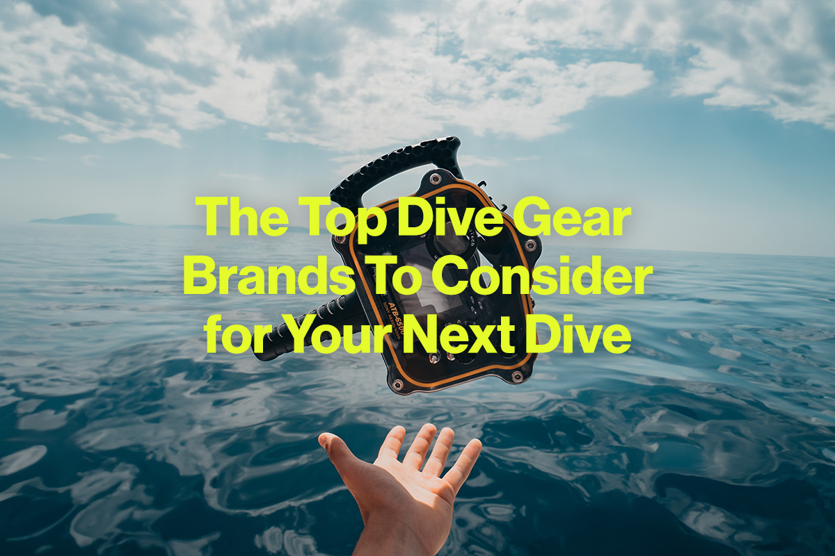 The Top Dive Gear Brands to Consider for Your Next Dive