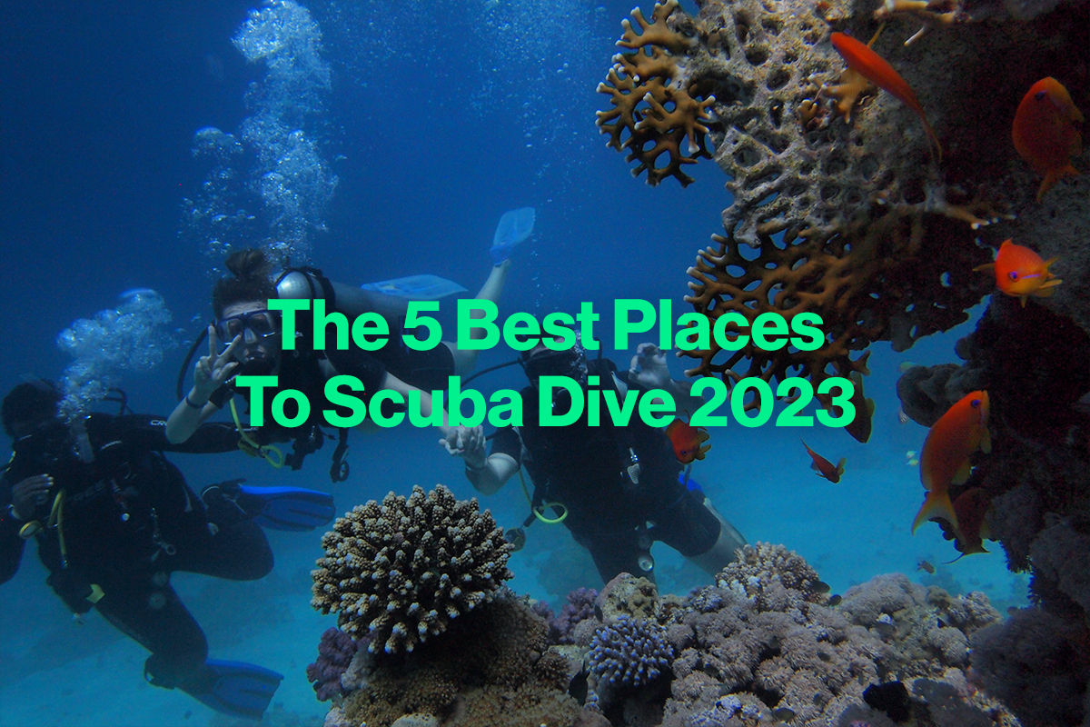 The 5 Best Places to Scuba Dive 2023