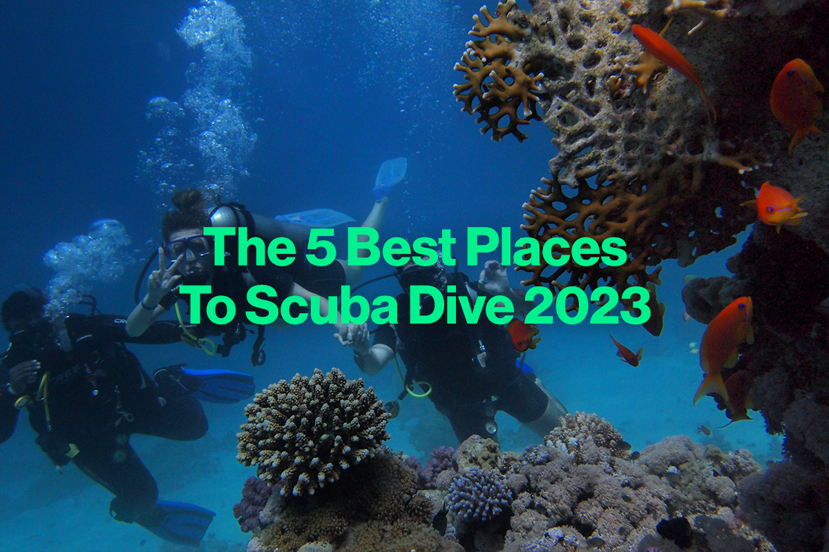 The 5 Best Places to Scuba Dive 2024