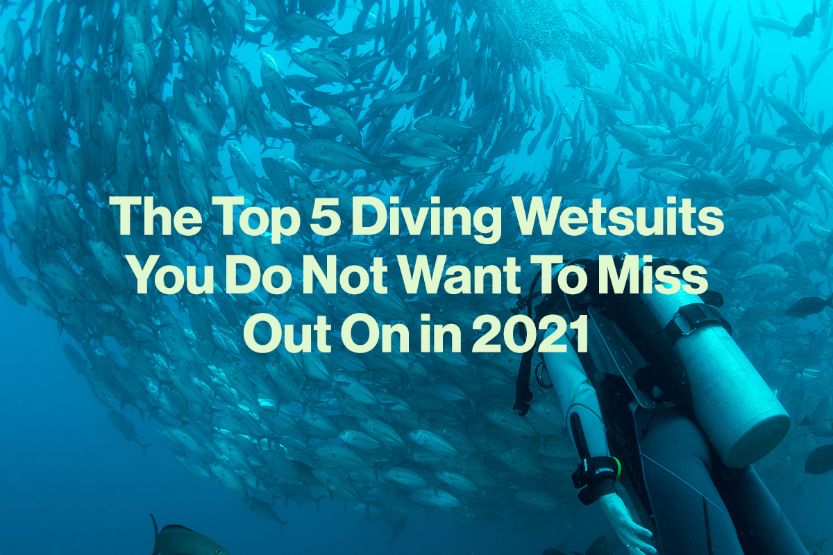 The Top 5 Diving Wetsuits You Do Not Want To Miss Out On In 2021