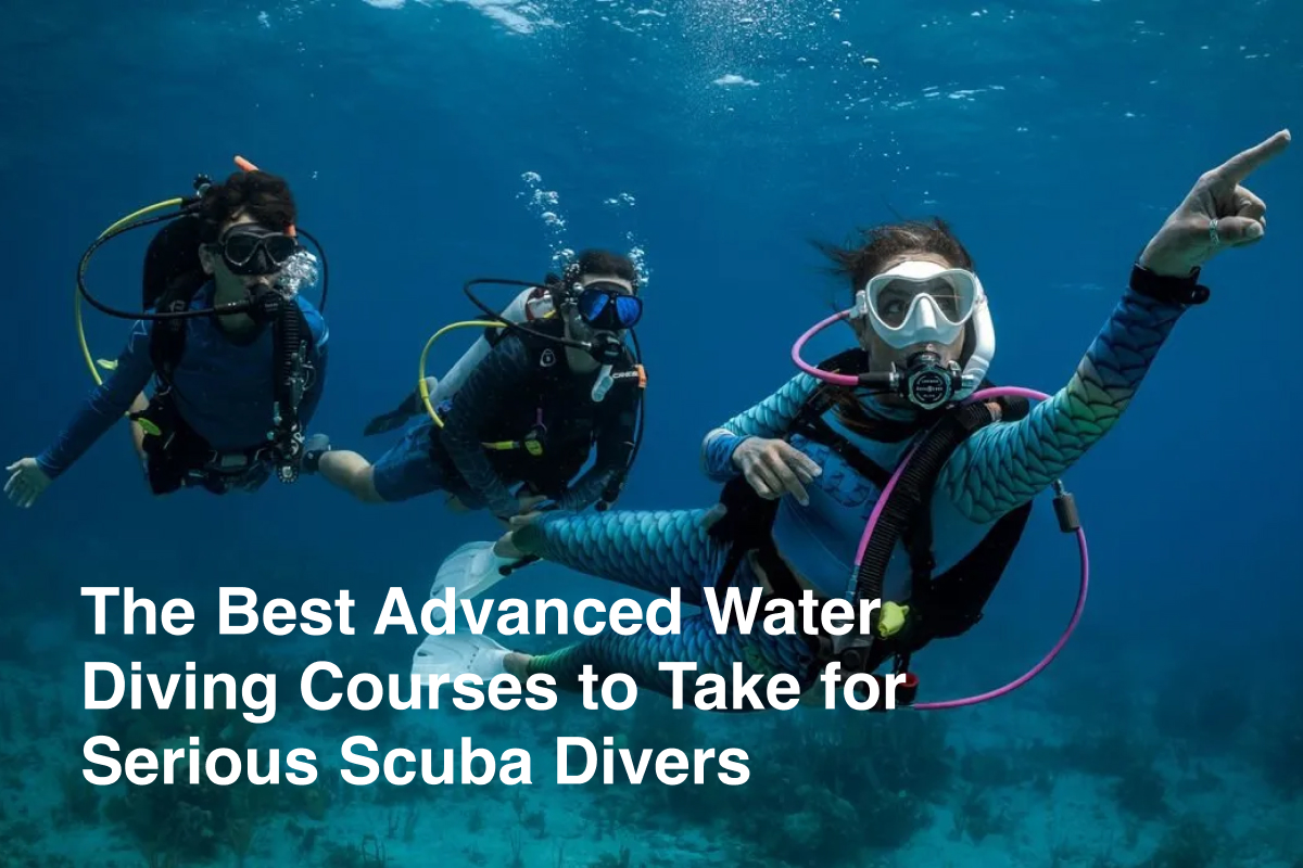 The Best Advanced Water Diving Courses to Take for Serious Scuba Divers