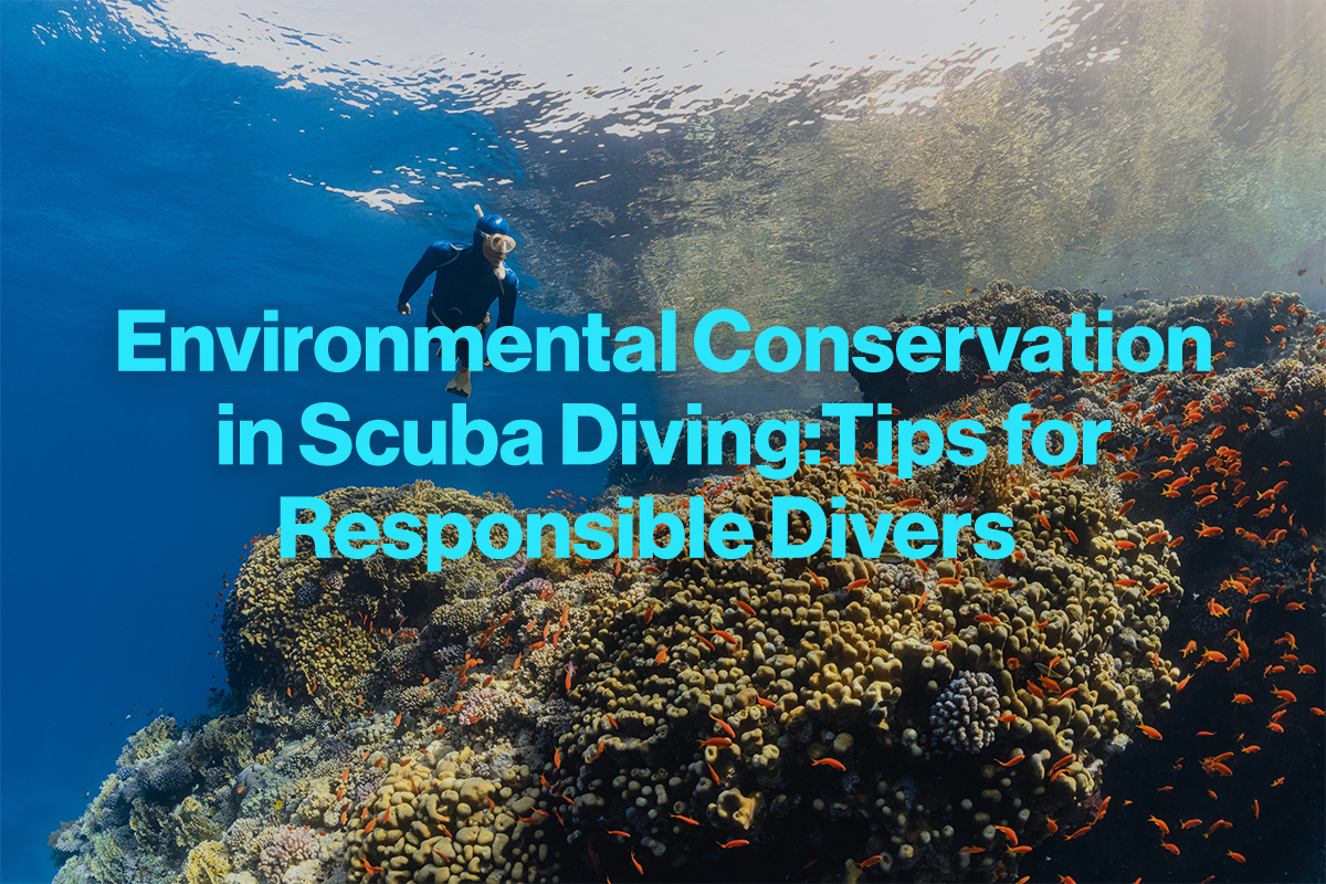 Environmental Conservation in Scuba Diving: Tips for Responsible Divers
