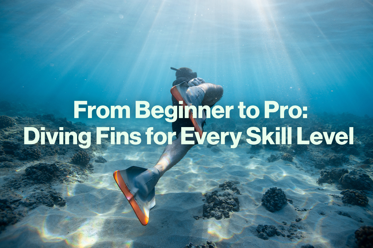 From Beginner to Pro: Diving Fins for Every Skill Level