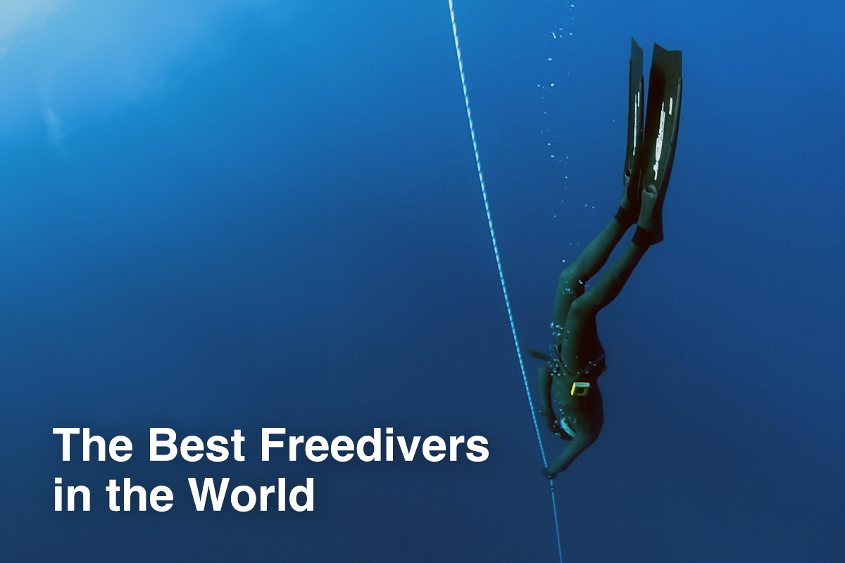 The Best Freedivers in the World