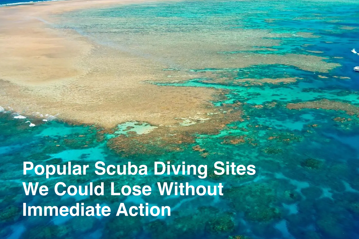 Popular Scuba Diving Sites We Could Lose Without Immediate Action