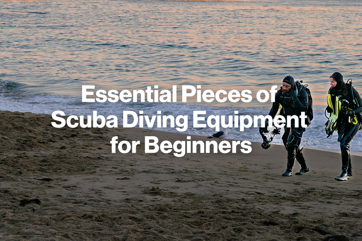 Essential Pieces of Scuba Diving Equipment for Beginners