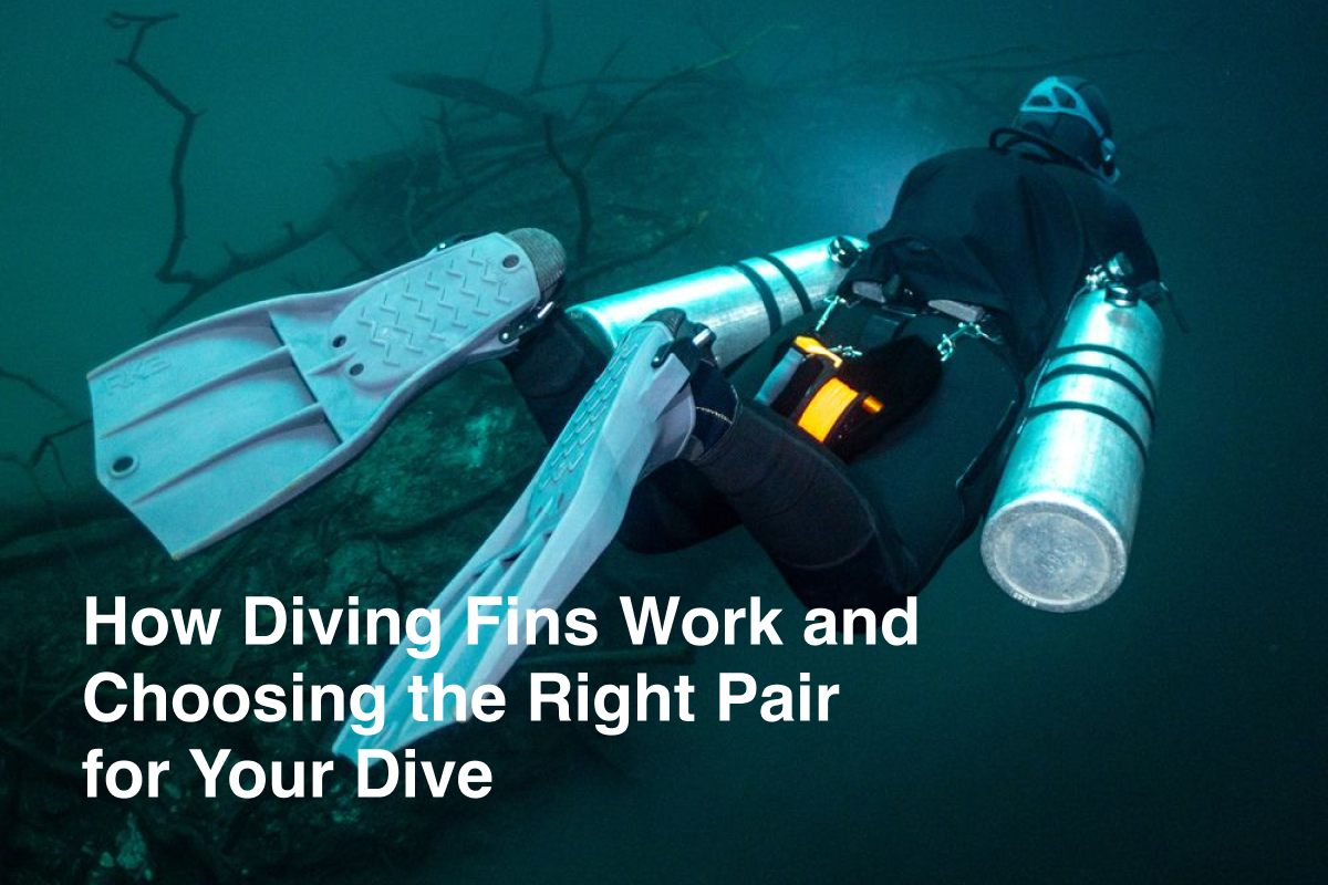 How Diving Fins Work and Choosing the Right Pair for Your Dive