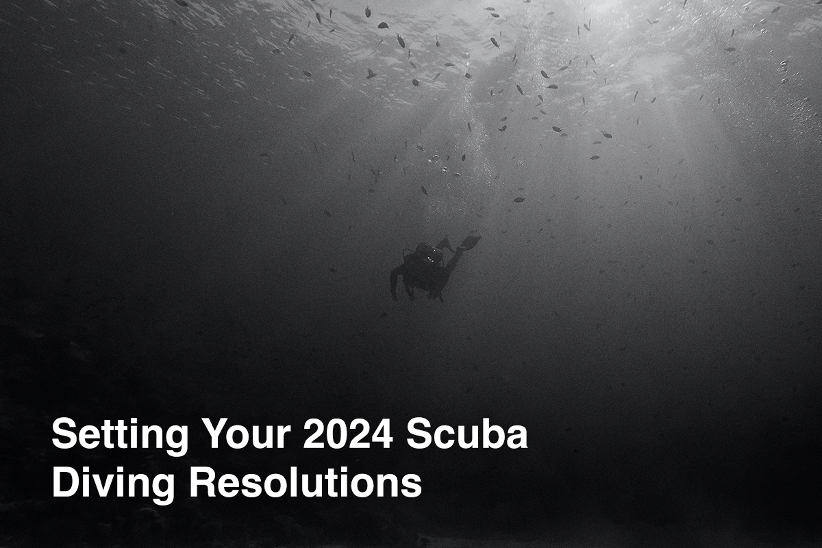 Setting Your 2024 Scuba Diving Resolutions