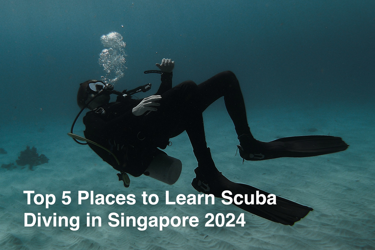 Top 5 Places to Learn Scuba Diving in Singapore 2024