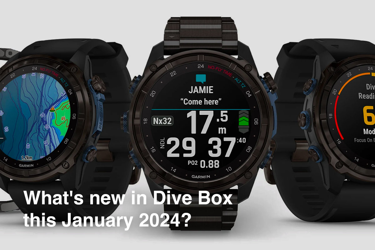  What's new in Dive Box this January 2024?