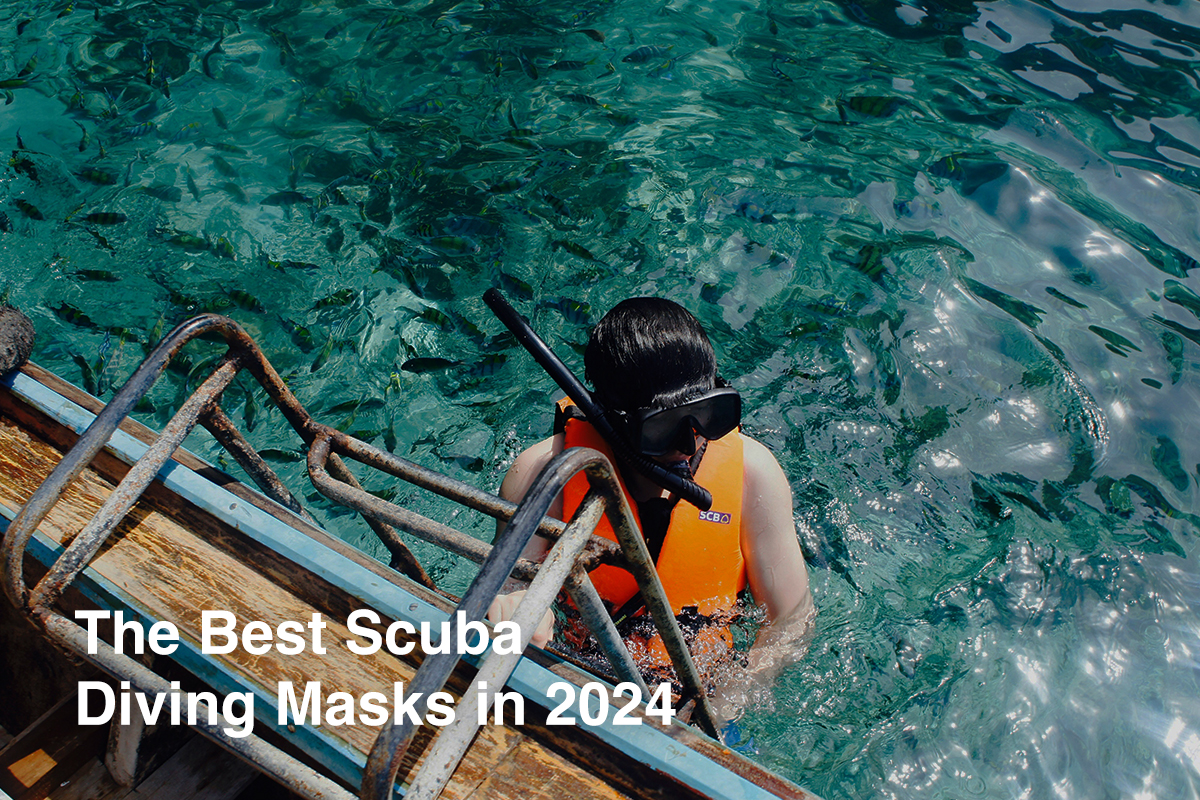 The Best Scuba Diving Masks in 2024