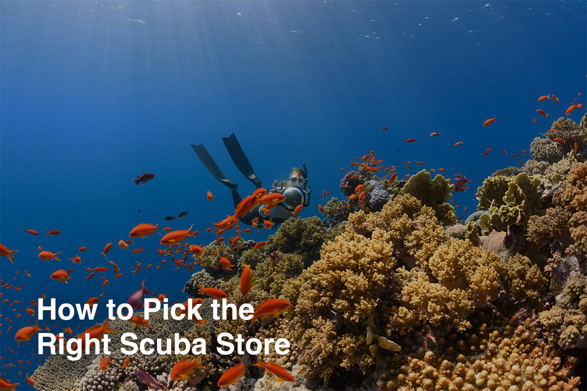 How to Pick the Right Scuba Store
