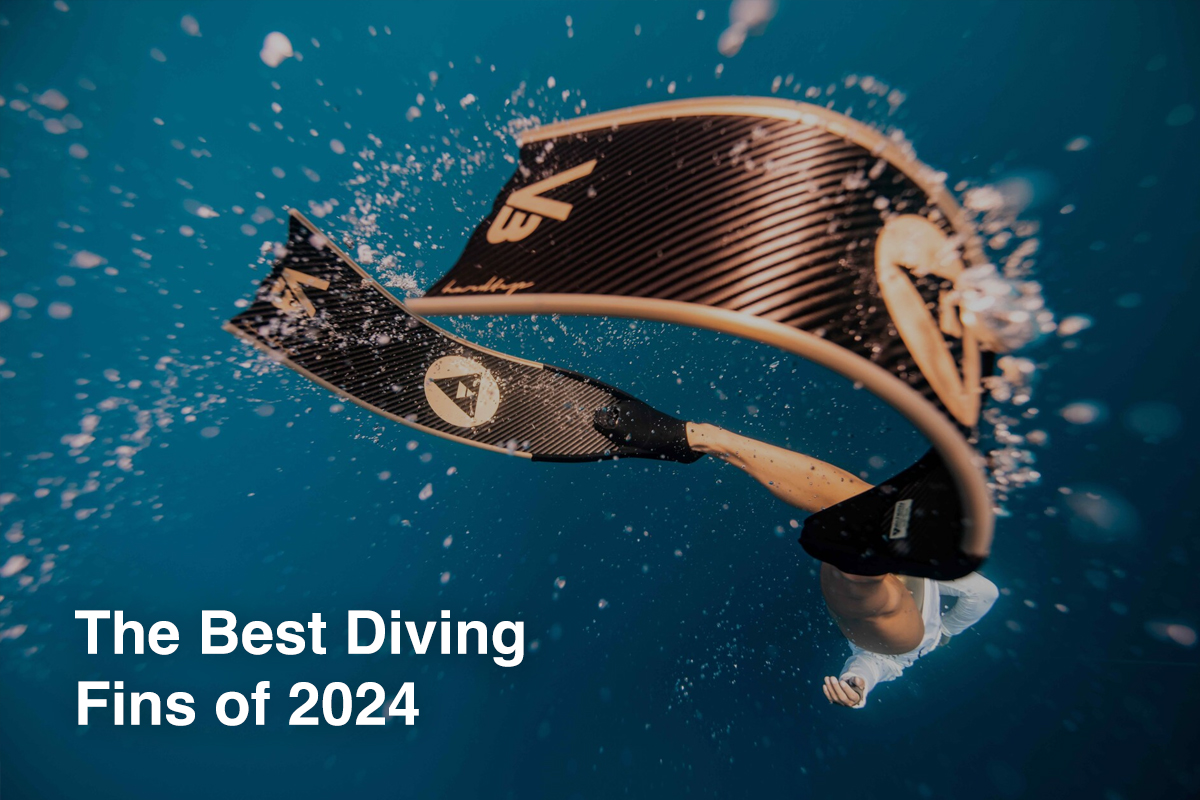 The Best Scuba Diving Fins of 2024
