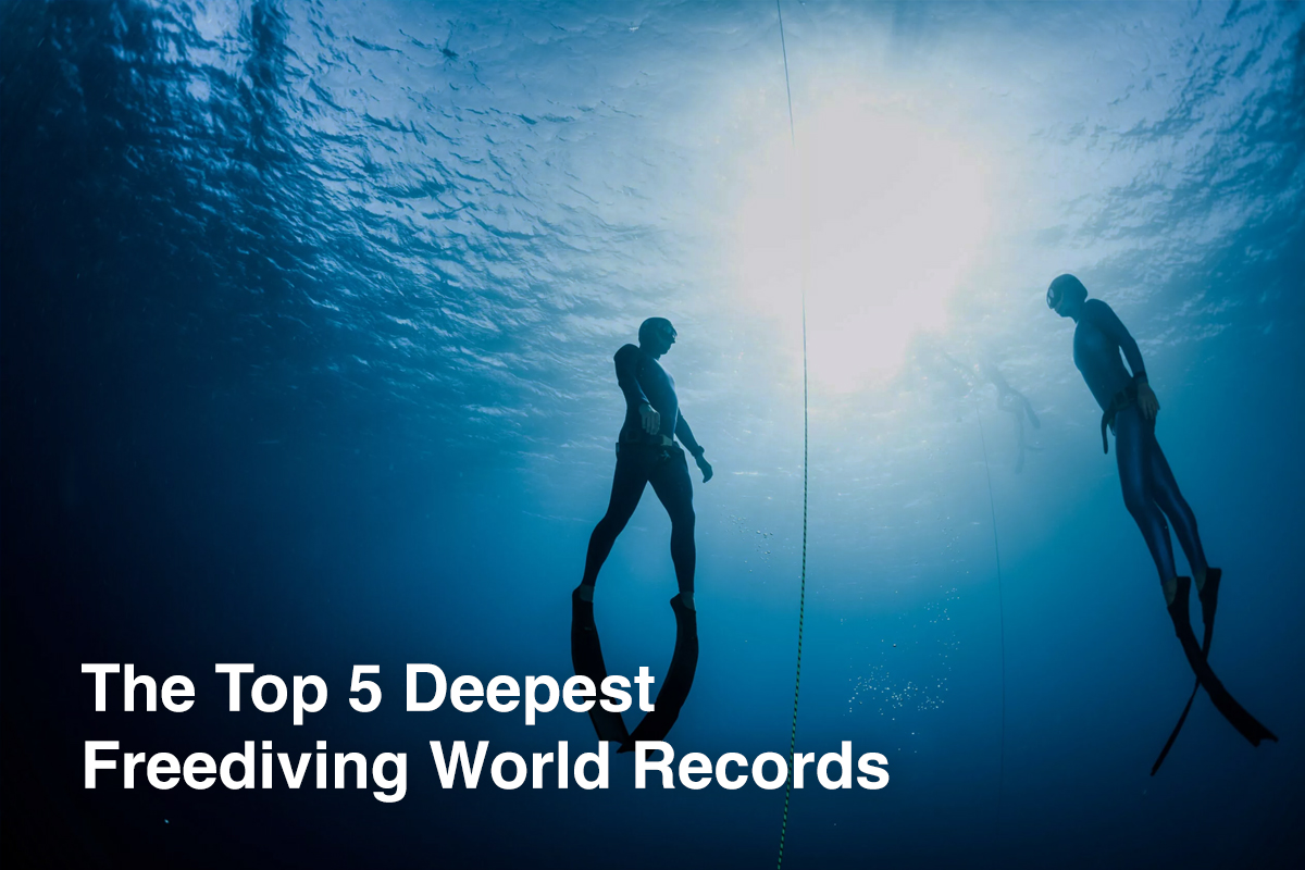 The Top 5 Deepest Freediving World Records