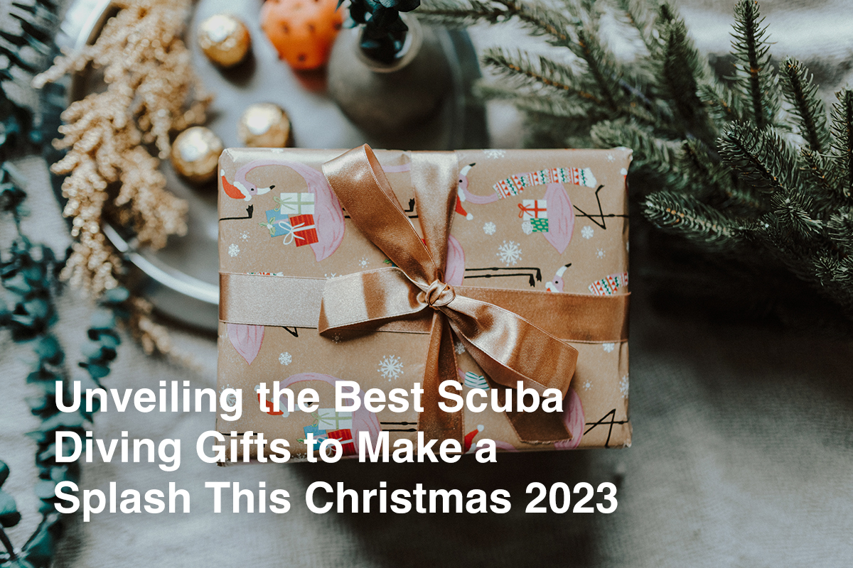 Unveiling the Best Scuba Diving Gifts to Make a Splash This Christmas 2023