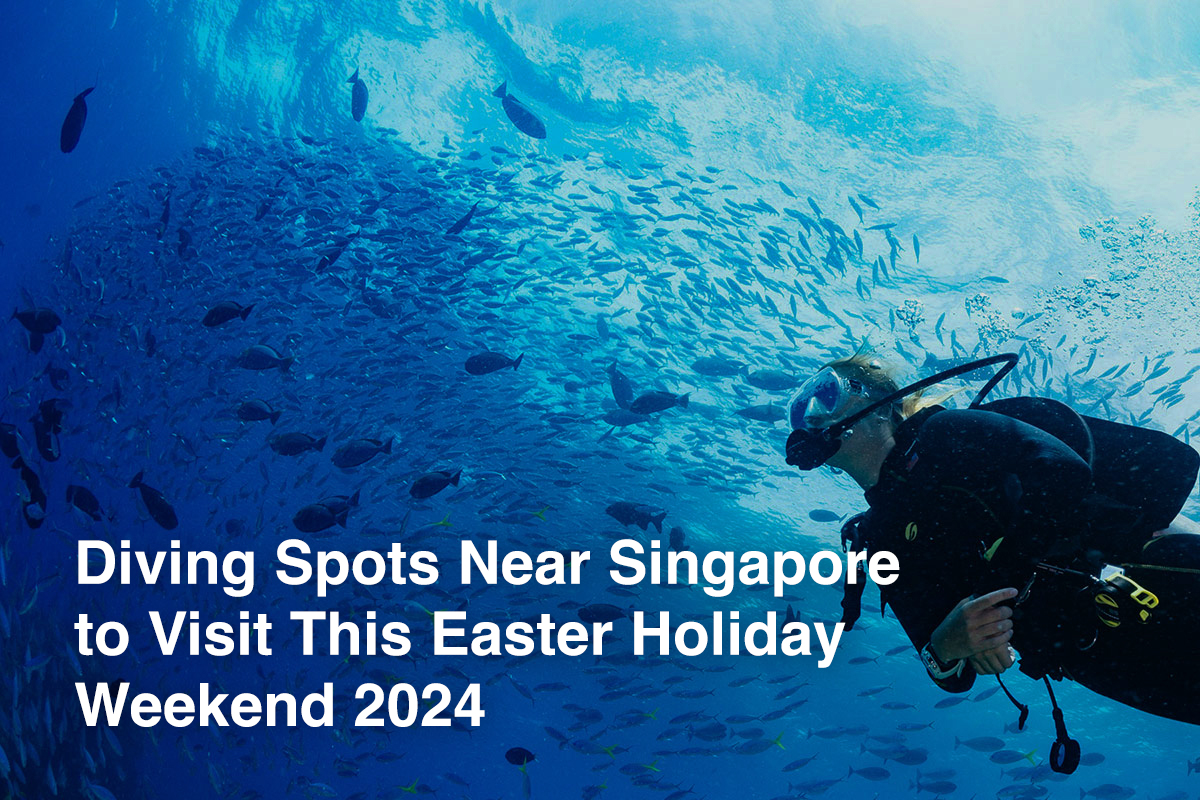 Diving Spots Near Singapore to Visit This Easter Holiday Weekend 2024