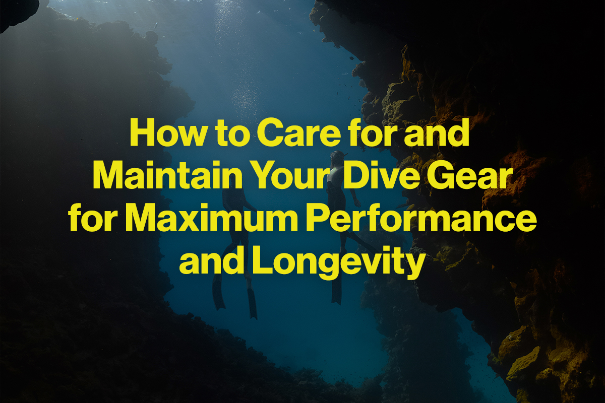 How to Care for and Maintain Your Dive Gear for Maximum Performance and Longevity