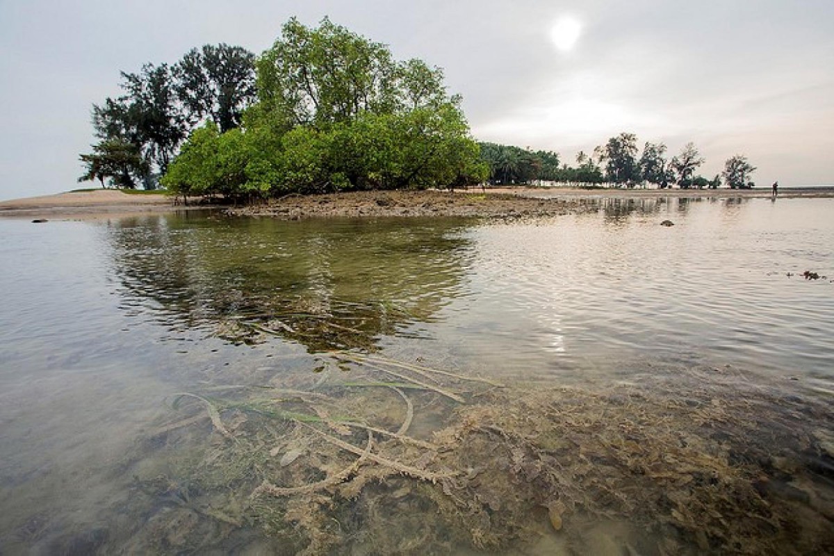 What Are Some of the Best Spots to Safely Scuba Dive in Singapore 2021 Amidst Covid-19?