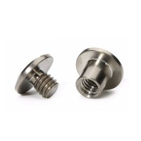 Stainless Steel Chicago Screws