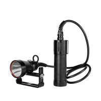 Divepro CL4200B Canister Dive Light