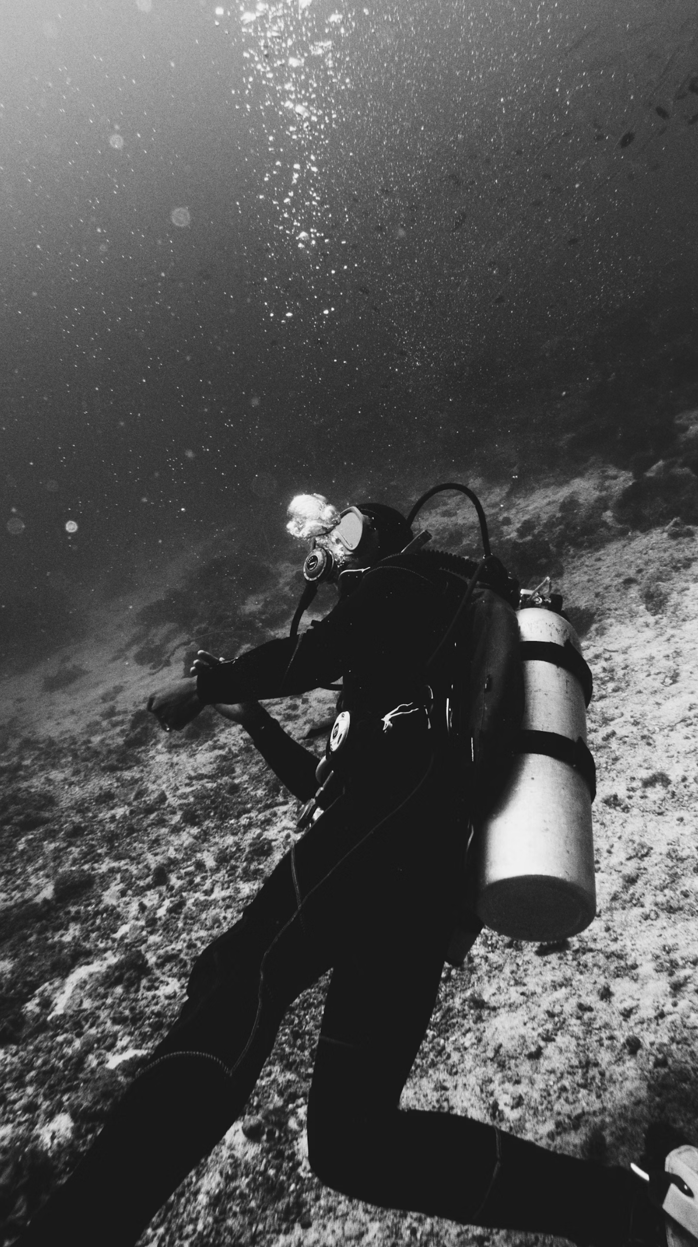 The Ultimate Guide to Choosing Your First BCD | Dive Box
